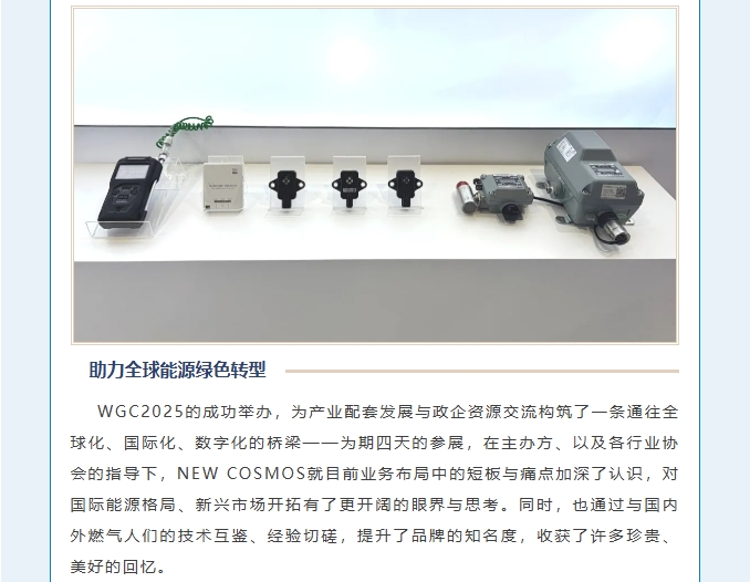 賦能可持續(xù)未來(lái)！熱烈慶賀新宇宙集團(tuán)WGC2025參會(huì)圓滿成功！(圖8)